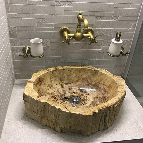 Lavabo gỗ hóa thạch, lavabo gỗ