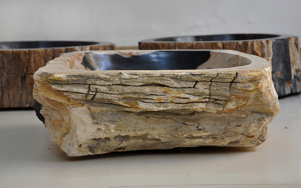Lavabo gỗ hóa thạch, tự nhiên