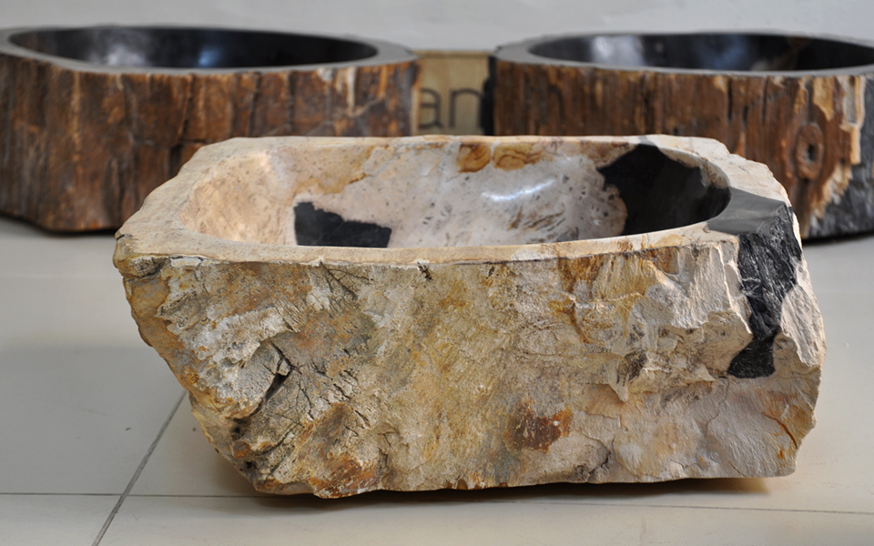 lavabo gỗ hóa thạch, lavabo gỗ