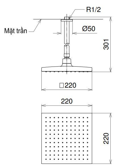 Bản vẽ bát sen Toto DB1441CR