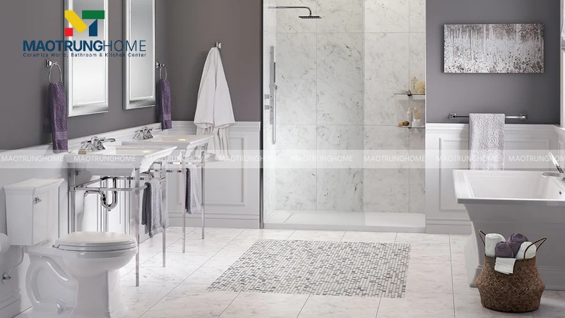 Sen vòi American Standard