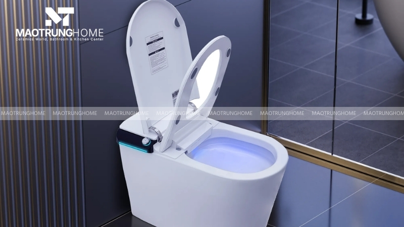 Đây là thiết bị vệ sinh được thiết kế đồng bộ.