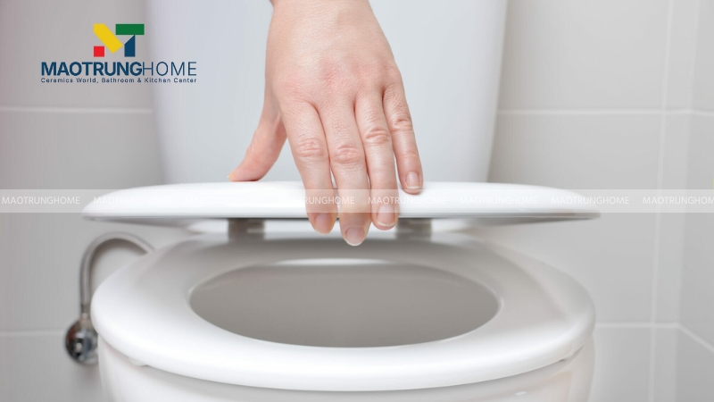Nắp bồn cầu