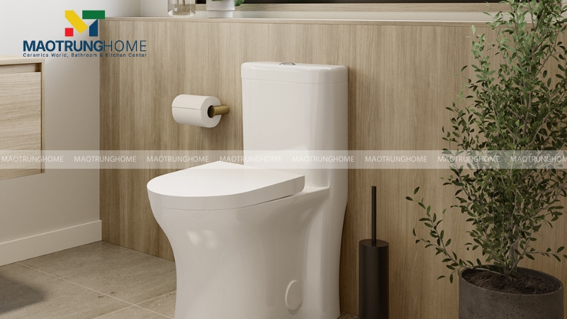 Cơ chế xả nước mạnh mẽ