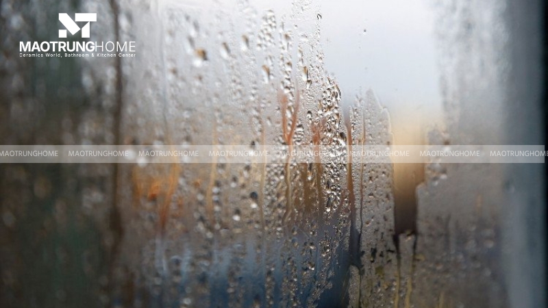 Nhà ở có độ ẩm cao nên ốp gạch tường