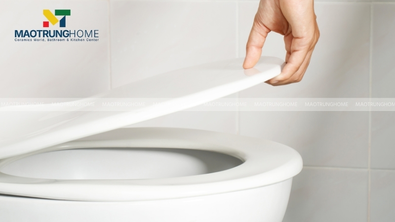 Nắp bồn cầu thường