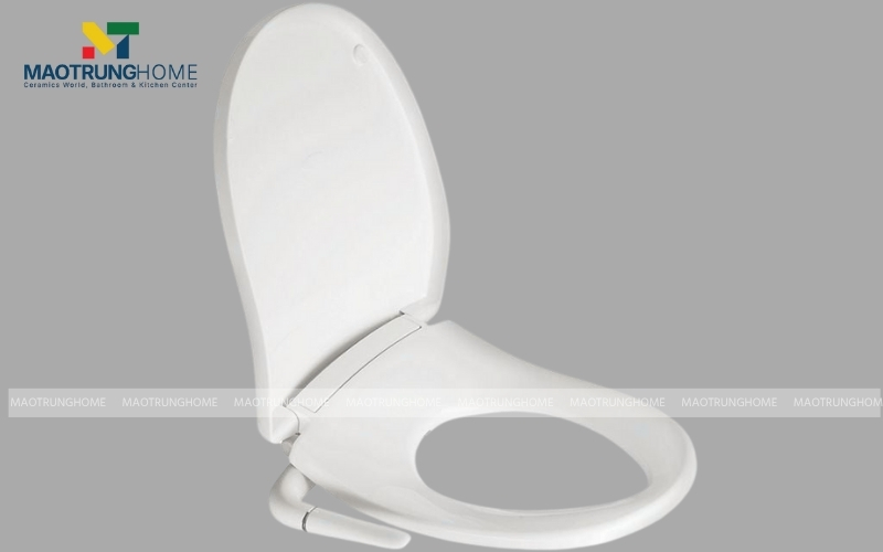 Nắp bồn cầu thường với thiết kế đơn giản