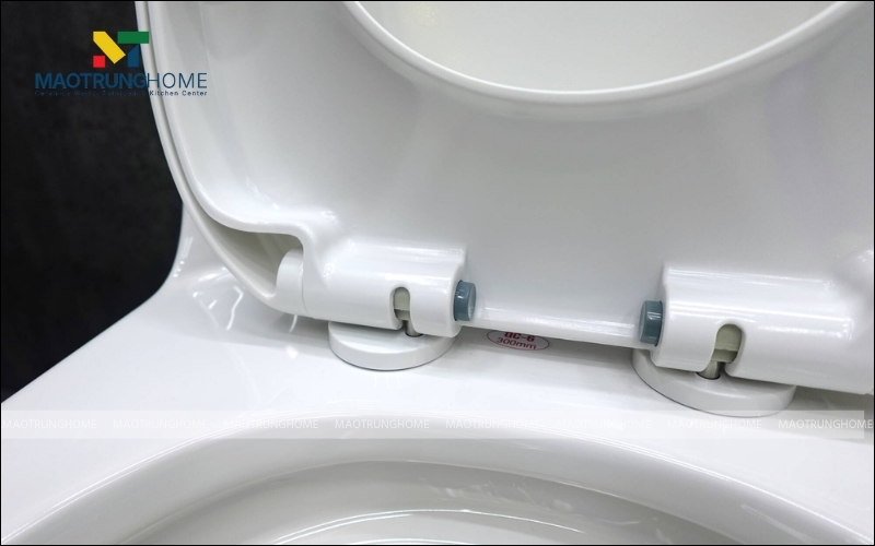 Bản lề của nắp bồn cầu đóng êm