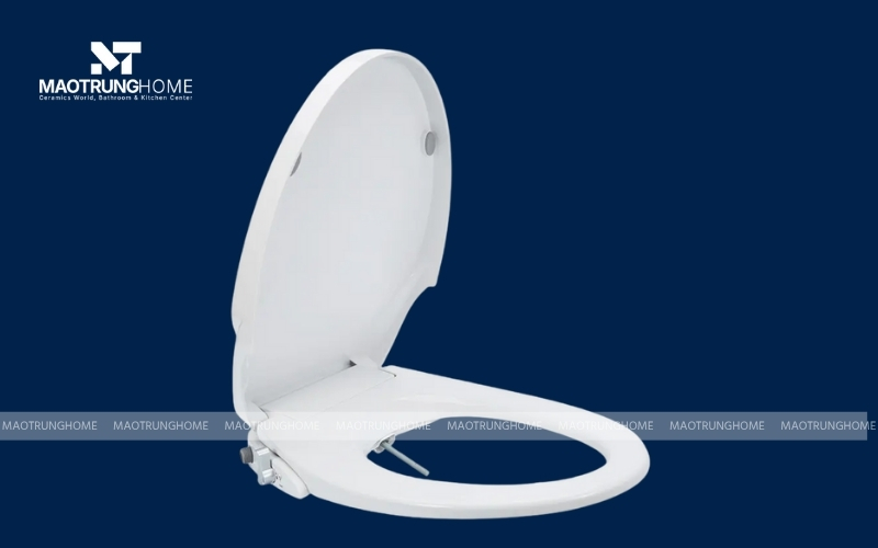 Chiếc nắp bồn cầu loại thường