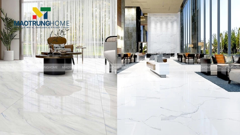 Việc lựa chọn giữa Prime và Vitto phụ thuộc vào ngân sách và mục đích sử dụng