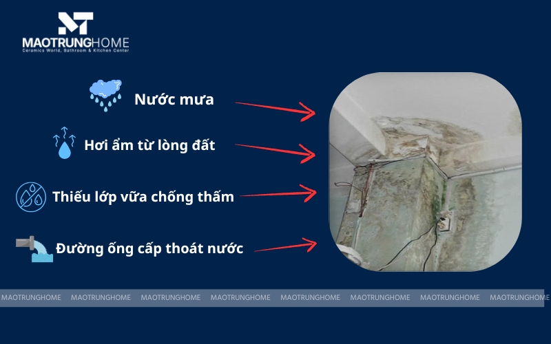 Nguyên nhân gây thấm chính vào tường nhà