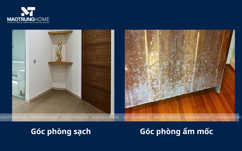 So sánh góc phòng trong lành và góc phòng có tủ gỗ bị mốc