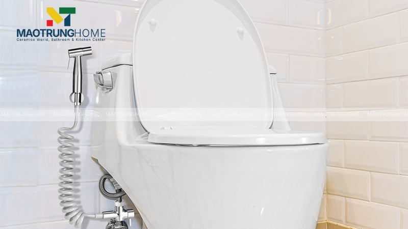 Vòi xịt vệ sinh, hay còn được biết đến với các tên gọi như vòi xịt toilet hay vòi rửa vệ sinh.